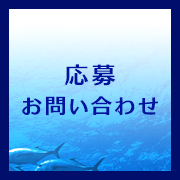 応募・お問い合わせ